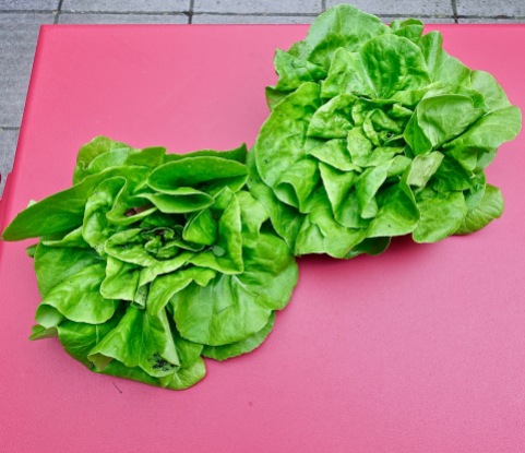 2 lettuces
